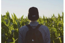 Граждане Молдовы могут получить высшее образование в Венгрии по сельскохозяйственной специальности