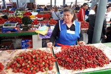 Молдова набирает гастарбайтеров для уборки клубники